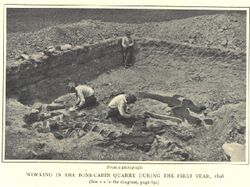 Bone Cabin Quarry 1898.jpg