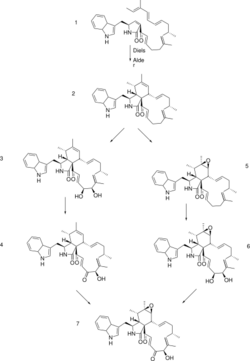 Chaetoglobosin A bisynthetic scheme.svg