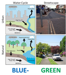 Comparing the natural and urban water cycle and streetscapes in conventional and Blue-Green Cities.png