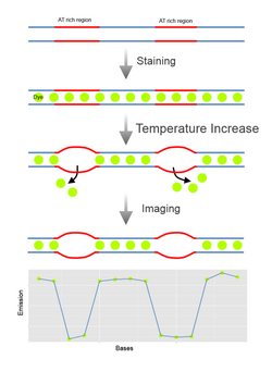 Denaturation mapping.png