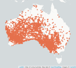 Distribution of White-fronted honeyeaters2.0.png