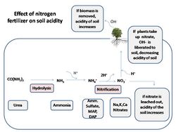 Effect of nitrogen fertilizer on soil acidity.jpg