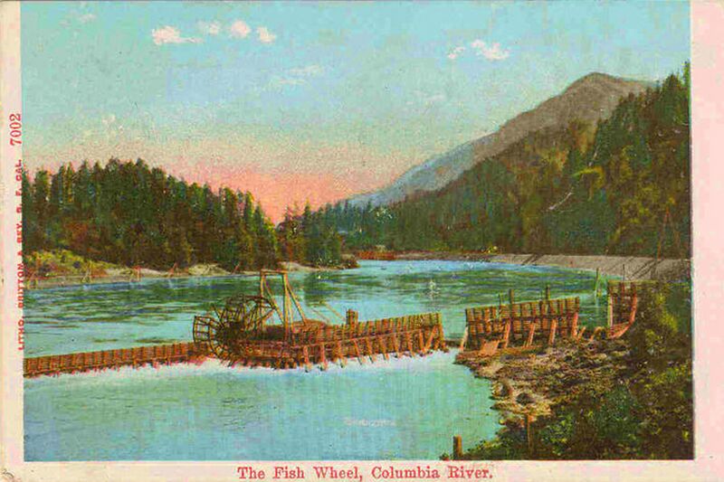 File:Fish wheel on the Columbia River, circa 1910.jpg