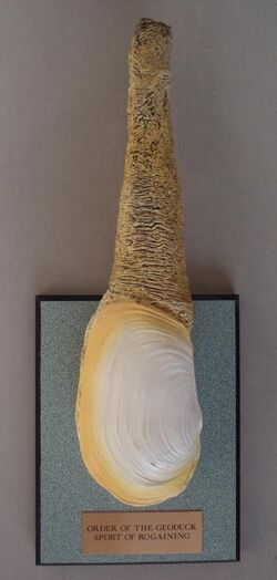 Geoduck award.jpg