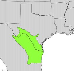 Guaiacum angustifolium range map.jpg