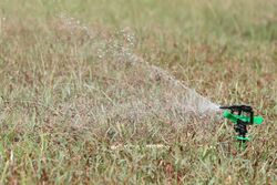 Irrigational sprinkler.jpg