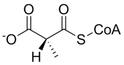 L-methylmalonyl-CoA.png