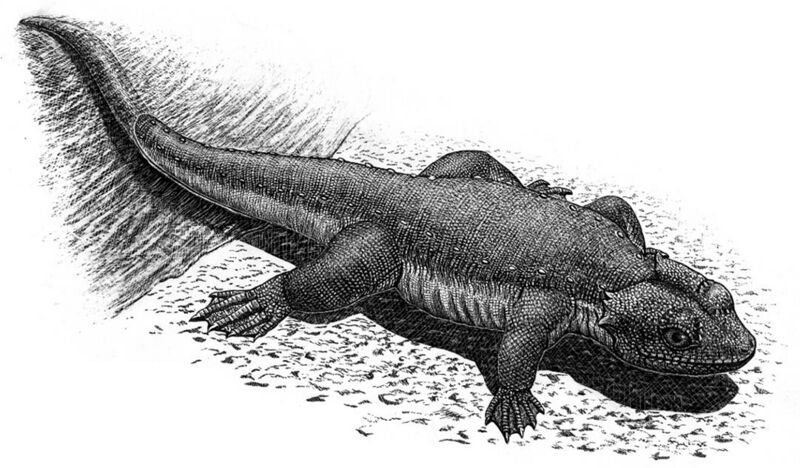 File:Monjurosuchus.jpg