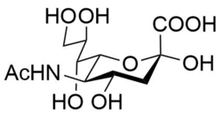 Neu5Ac in neutral form, 2C5 conformation.png