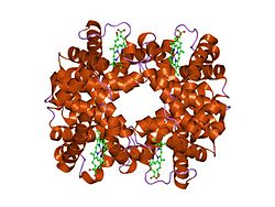 PDB 1o1l EBI.jpg