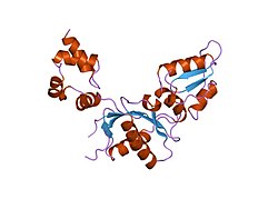 PDB 1zqu EBI.jpg