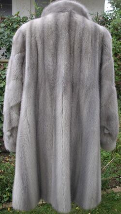 Sapphire mink fur coat 1980.jpg