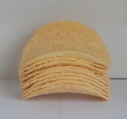 The Pringles Salt & Vinegar chips.jpg