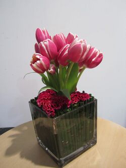 Tulip and Celosia cockscomb.jpg