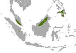 White-collared Fruit Bat area.png