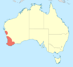 Archiargiolestes pusillus distribution map.svg