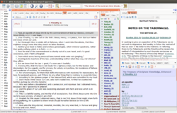 Bible Analyzer 4.9 Beta Linux.png