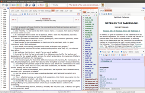 Bible Analyzer 4.9 Beta Linux.png