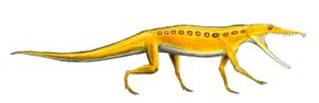 Chanaresuchus.jpg