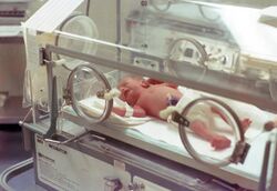 Infant-Incubator-wBaby-1978-USA.jpg