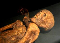 Otzi-Quinson.jpg