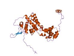 PDB 1n93 EBI.jpg