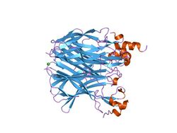 PDB 1xu1 EBI.jpg