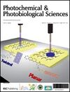 Photochemical and Photobiological Sciences (journal) cover.jpg