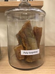 Pieces of polyisoprene in a jar