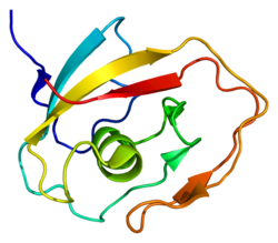 Protein COCH PDB 1jbi.png