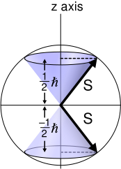 File:Quantum projection of S onto z for spin half particles.svg