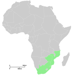 Range of Senecio barbertonicus-Africa.svg