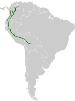 Rupicola peruvianus map.svg