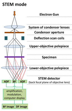 STEM fig.png