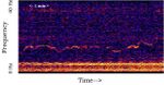 Spectrogram of the Whistle sound