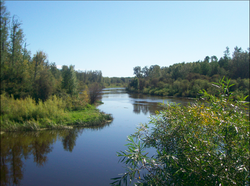 A photo of a lake.png