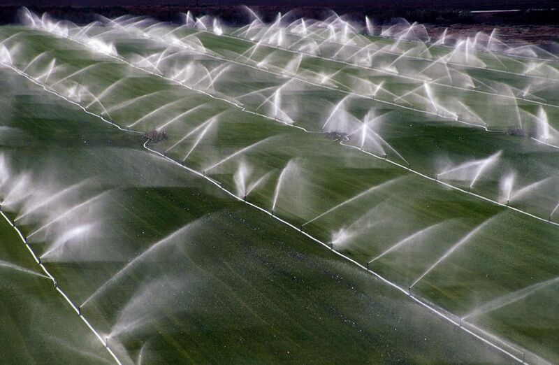 File:Crop sprinklers Rio Vista California 15 Jul 2004-002.jpg