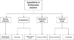 Euthanasia solution ingredient diagram.png