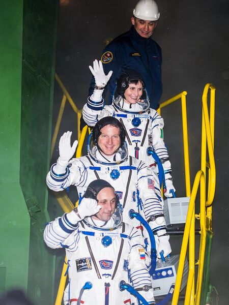 File:Expedition 42 Crew Wave (201411240004HQ).jpg