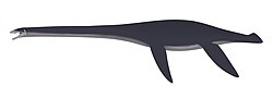 Fresnosaurus drescheri profile reconstruction.jpg