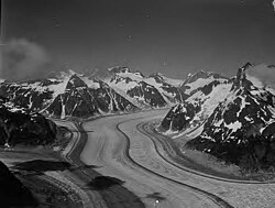 Gilkey Glacier, valley glacier with banded ogives and dark moraines, 1955 (GLACIERS 6160).jpg