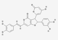 HYPHOLOMINE B.png