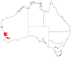 Hakea anadeniaDistMap7.png