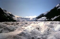 IcefallAthabascaGlacierColumbiaIcefieldAlberta1993.jpg