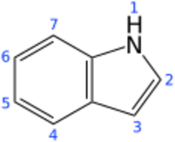 Indole 2D numbered.svg