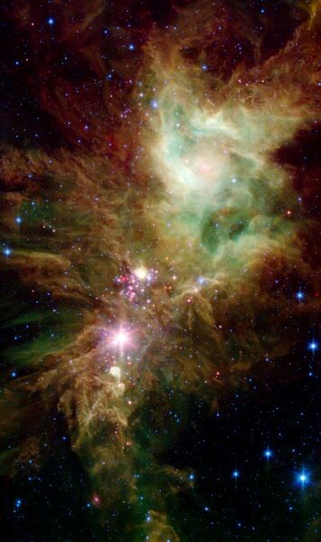 File:NGC 2264.jpg