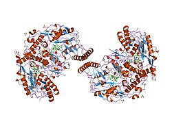 PDB 2nsi EBI.jpg