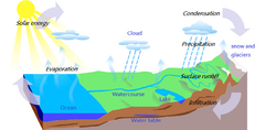 Water Cycle-en.png