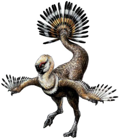 File:Ajancingenia reconstruction (white background).png