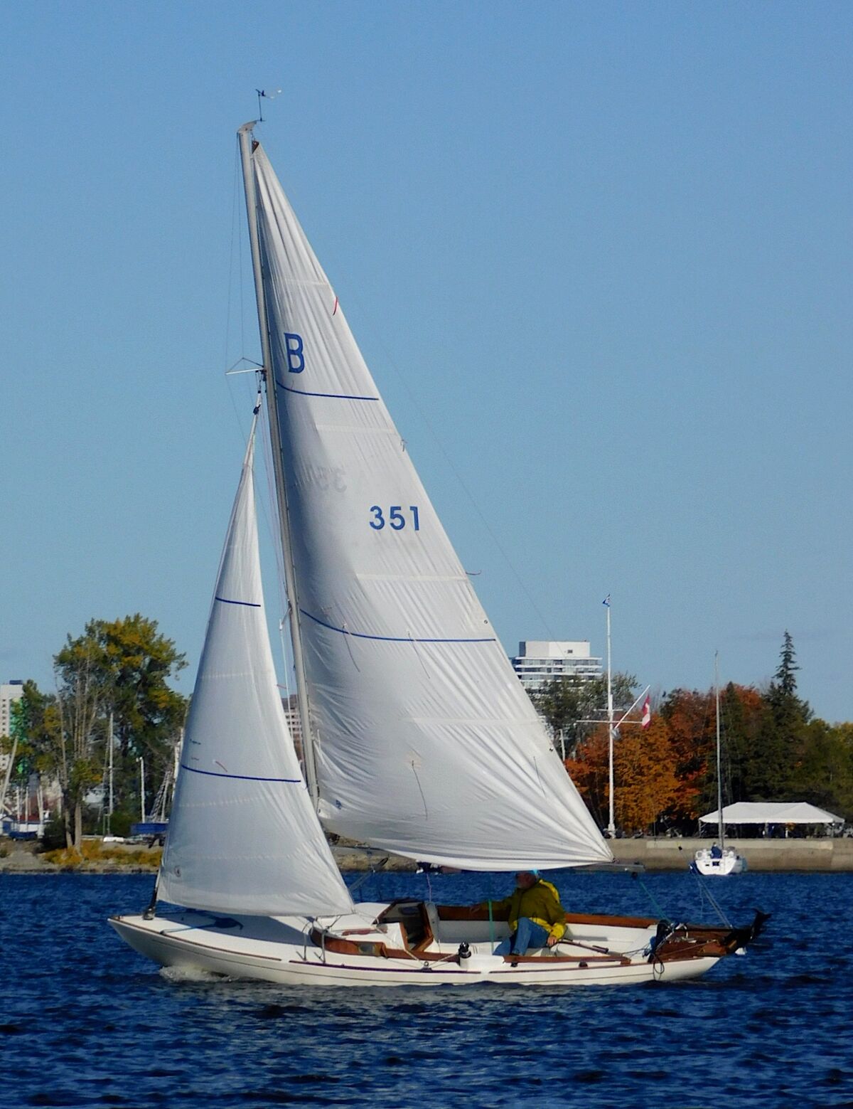 bluenose one design sailboat